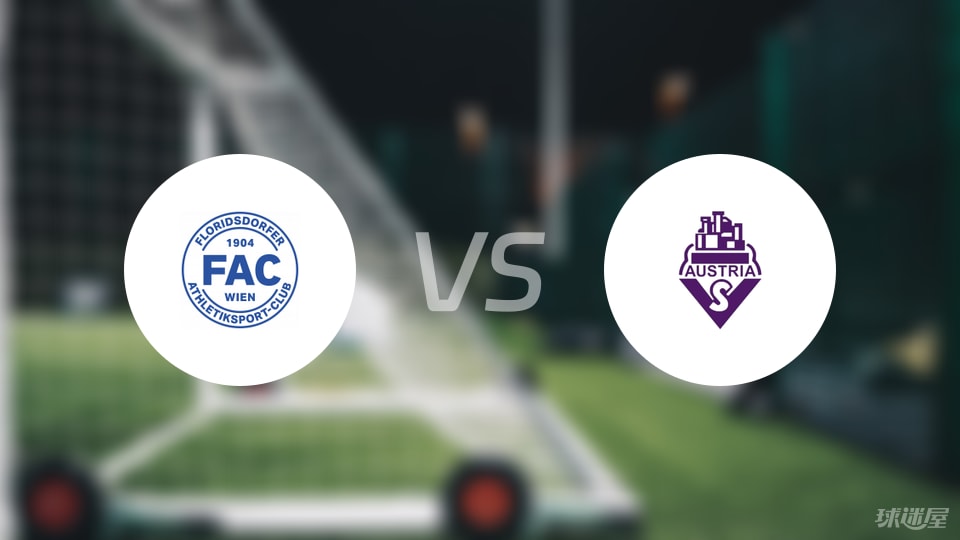 纳vs奥地, 下面是